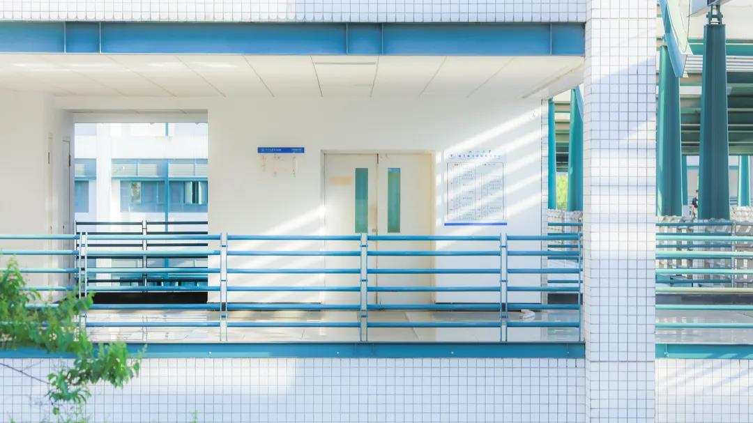 上新啦！6款浙大高颜值PPT模板送给你