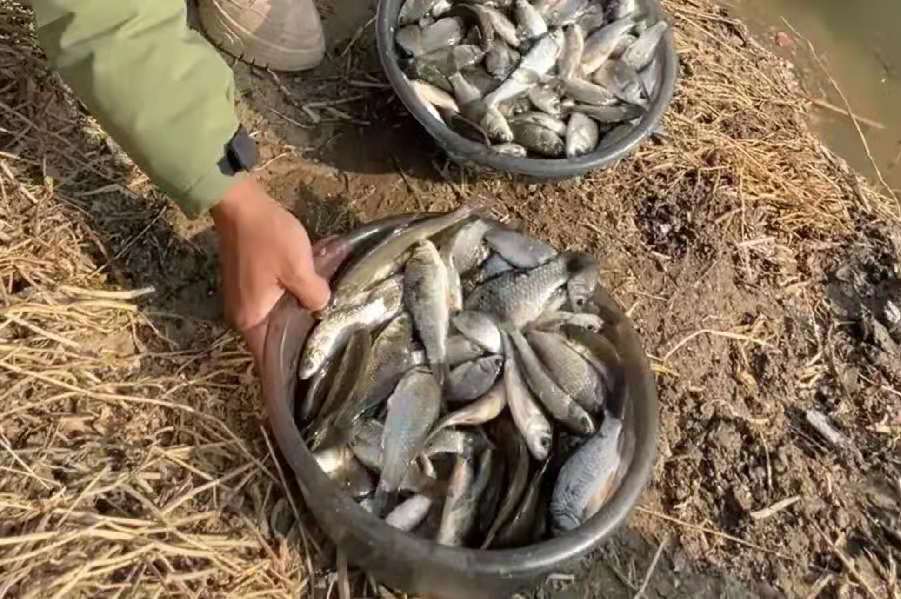 夏季雨天難釣魚?沒料到我只用了3招,鯽鯉魚上個不停