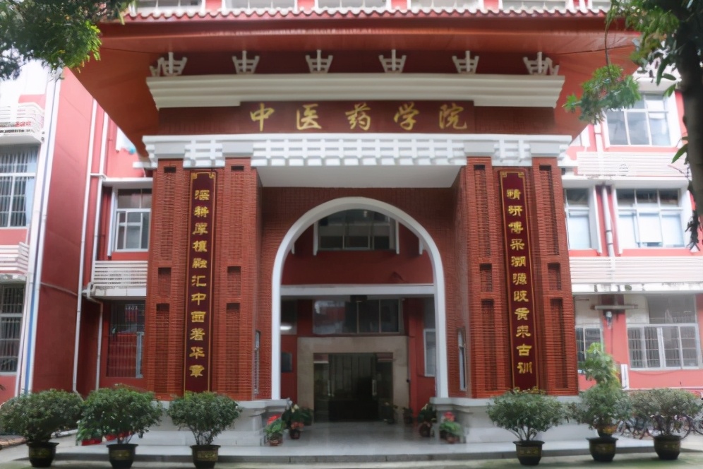 43岁立志学医，她高分考入南方医科大学名老中医传承班，5年毕业实现医学梦想