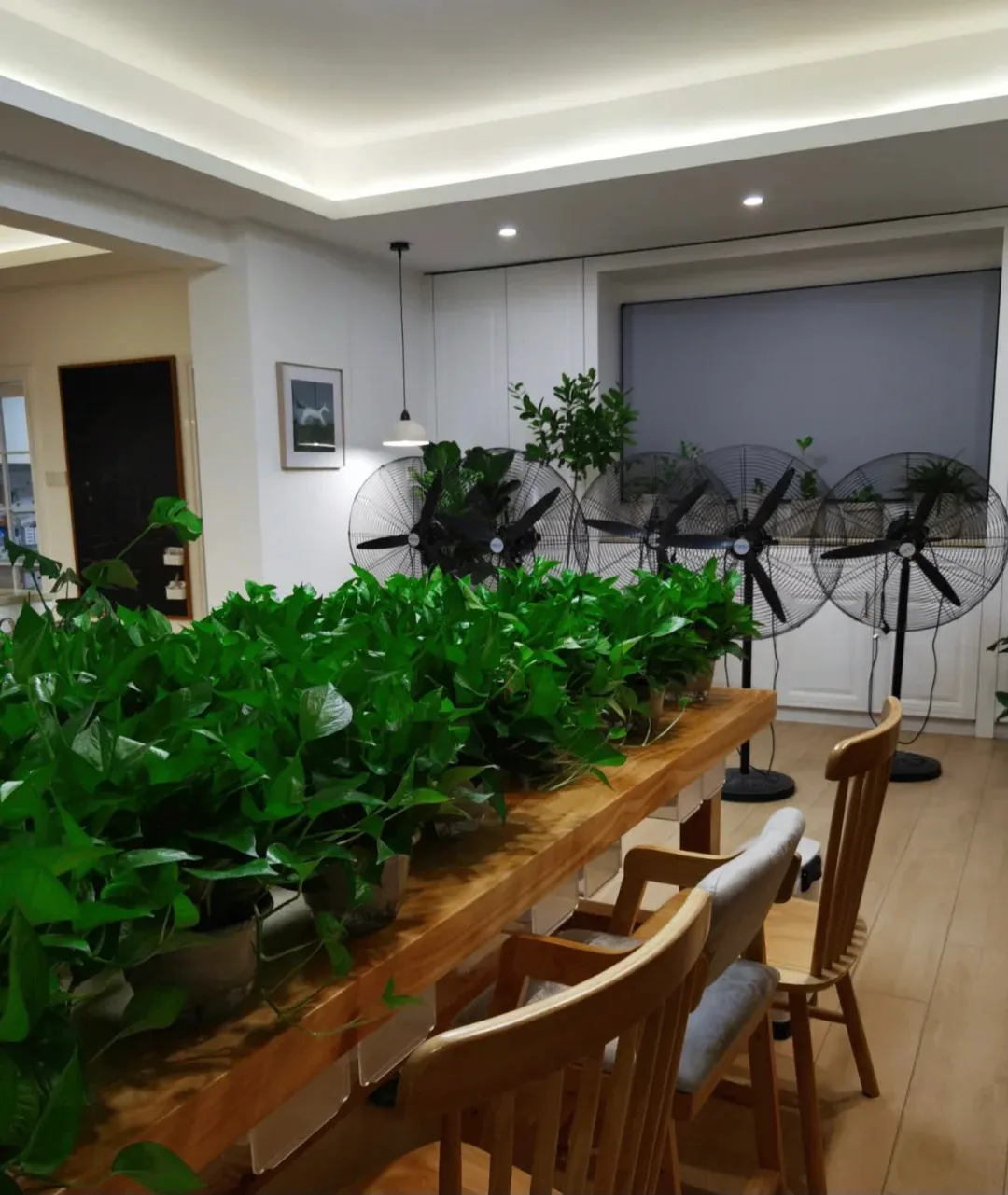 装修完后要先关紧门窗,这样真的对装修有好处吗?来听听大实话