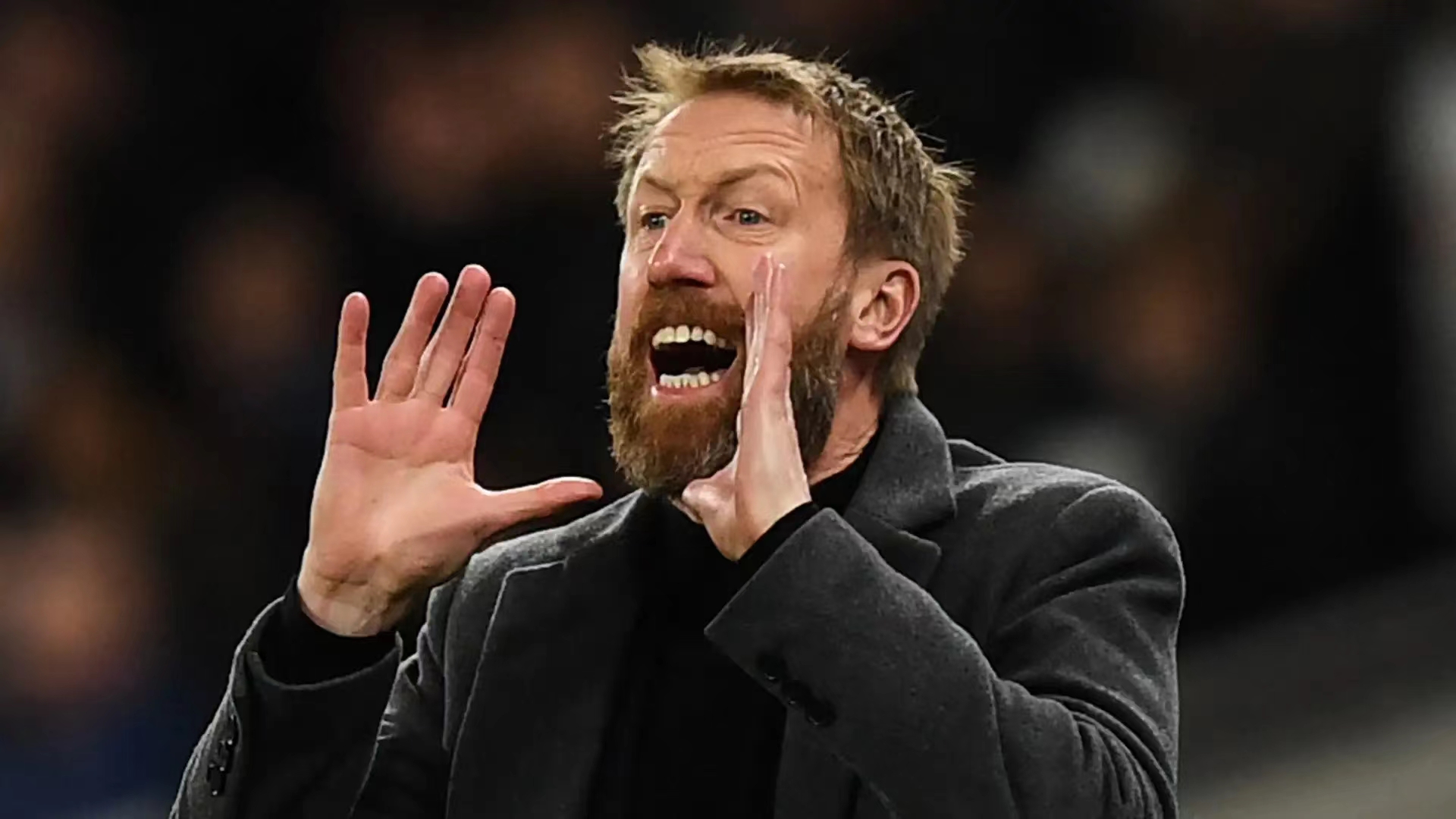 (拉齐奥)免费基恩·刘易斯-波特(赫尔城)亚伦·希基(博洛尼亚)