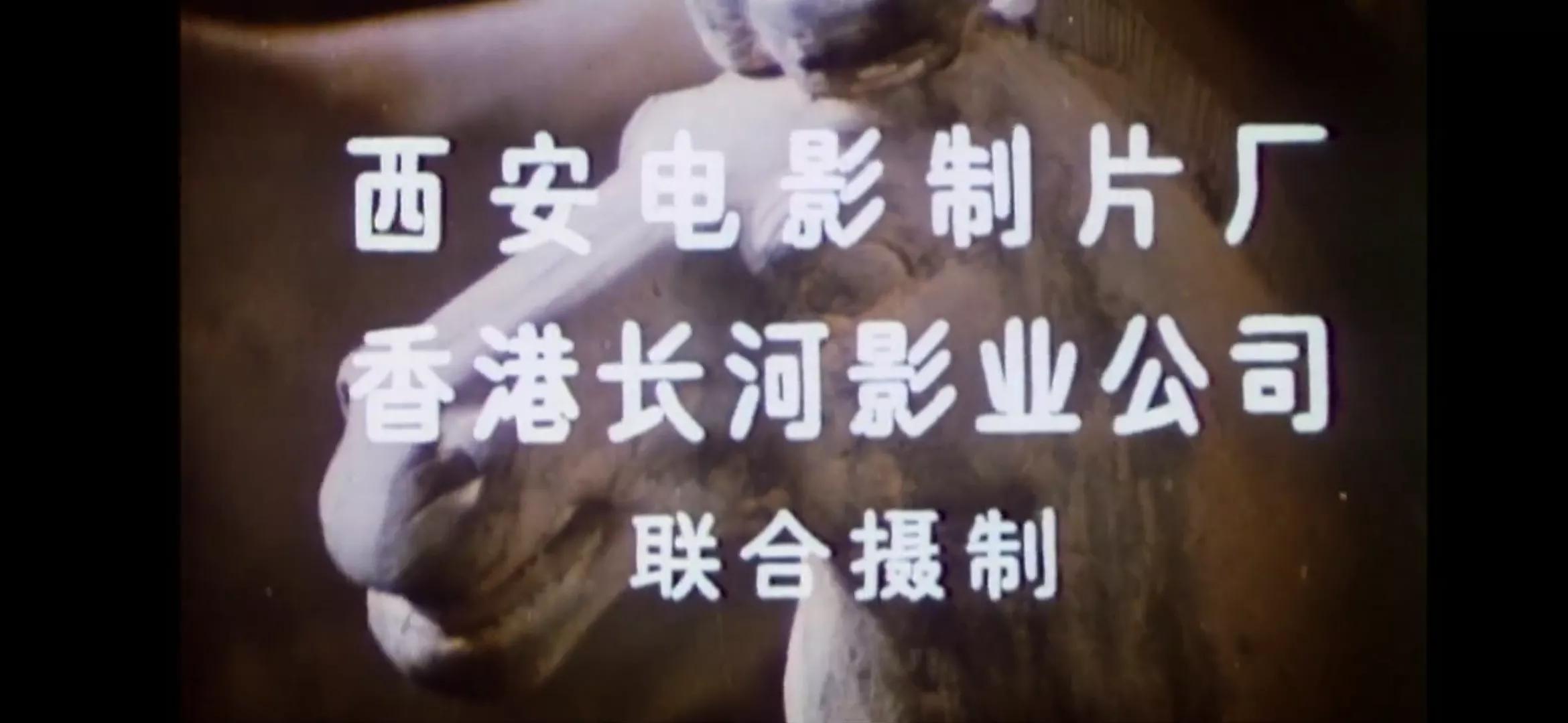 怀旧老电影《西安杀戮》