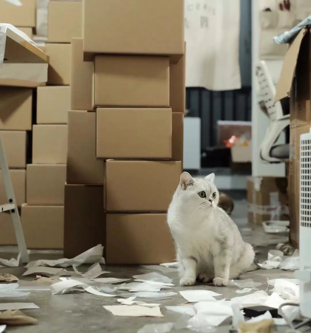 90后设计师怒了：作品被山寨，还被打标“日本原创”