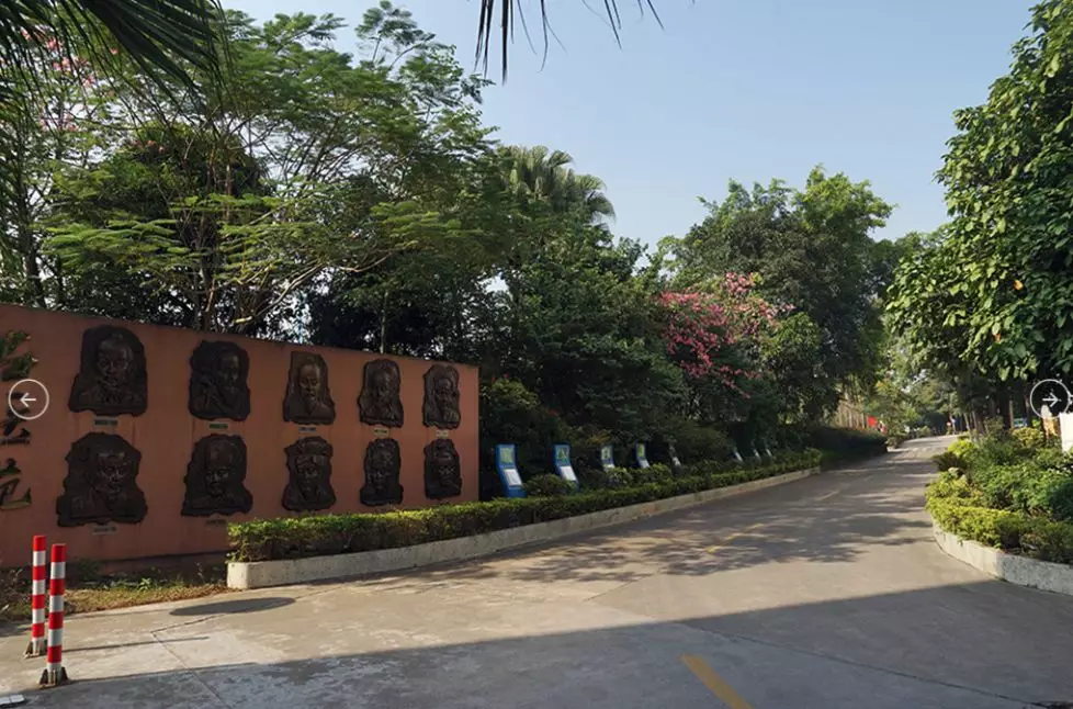 “医学热”又来了？学考想考医学专业，重点关注广东这12所院校