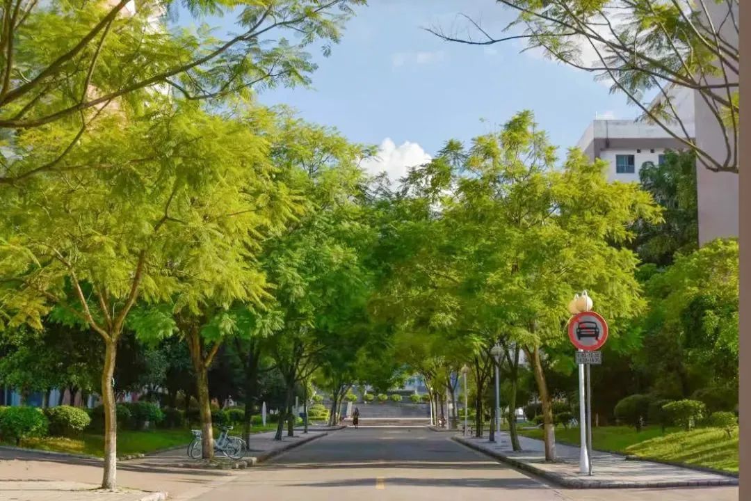 桂林理工大学非全MBA，考研难度及往年复试调剂分析