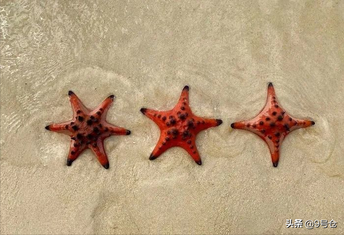 30张活久见的对比图，总是“巧合”地逗人捧腹大笑