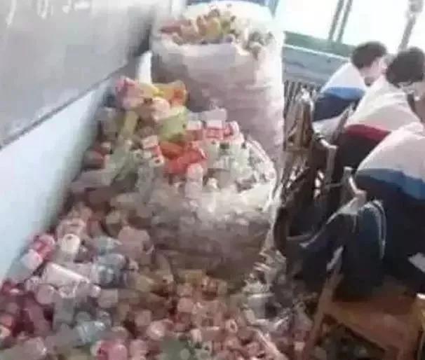 美人鱼上岸了图片