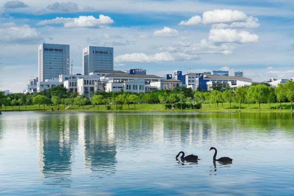 美术类招生80人！“双一流”合肥工业大学2022年录取需要多少分？