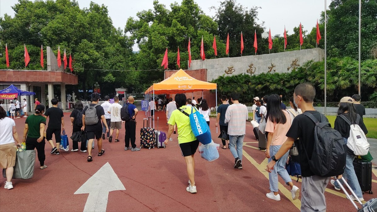 深圳大学读研究生的孩子突然想退学，家长该怎么办？