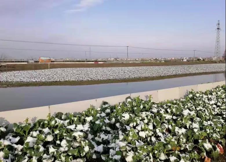 当涂这些被“雪藏”的美景，你都发现了吗？