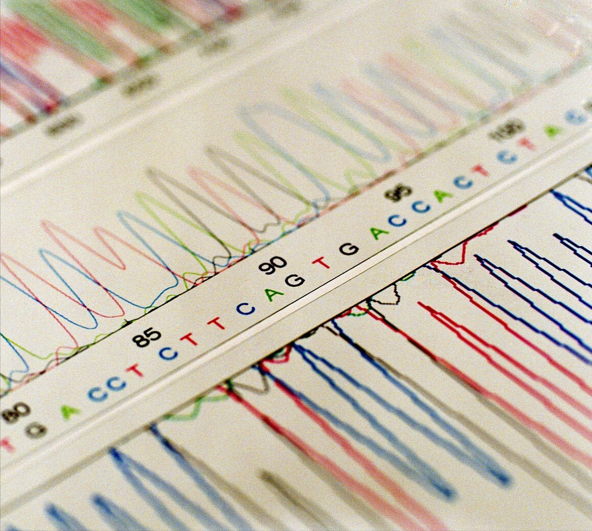 产前亲子鉴定，为何被称为“忠贞杀手”？