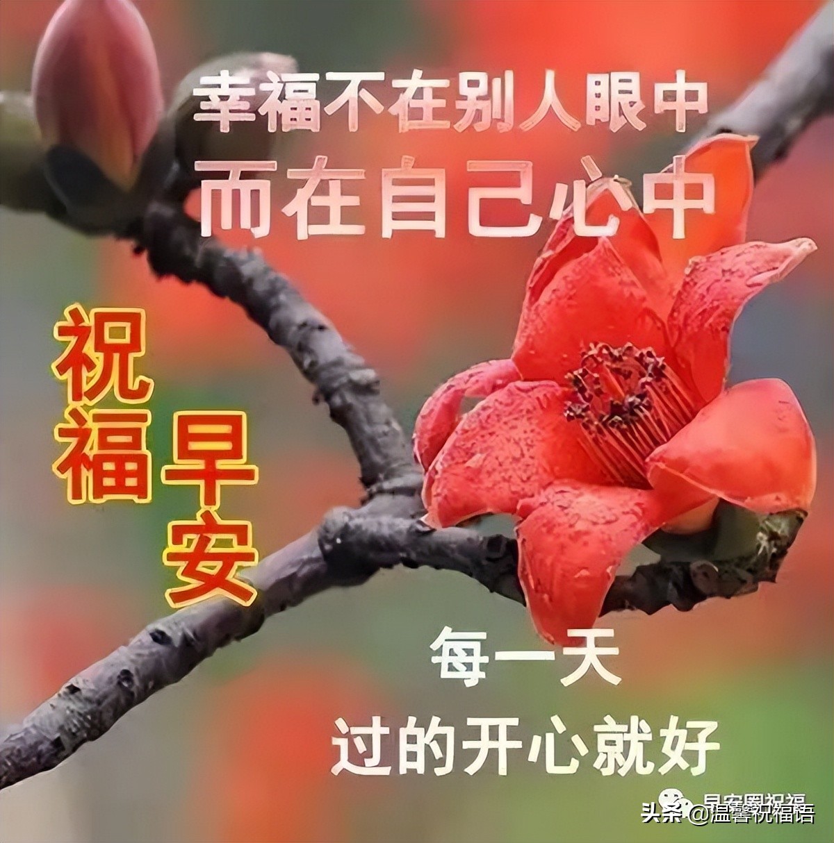 友谊祝福语简短(漂亮的早上祝福图带问候短语推荐发给朋友的最好祝福)