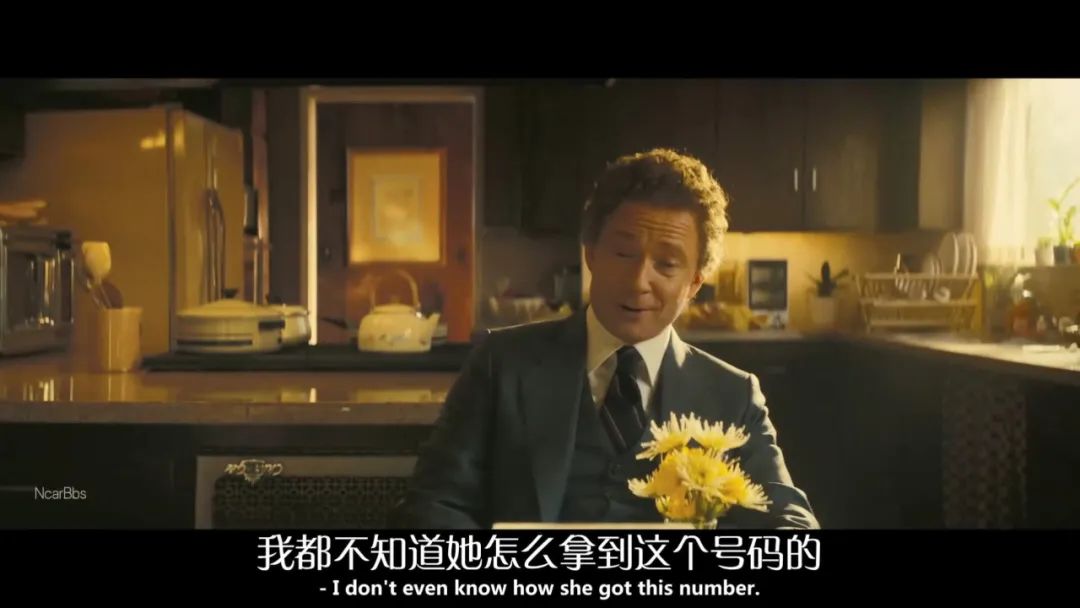 什么都不会，他们凭什么在娱乐圈爆红？