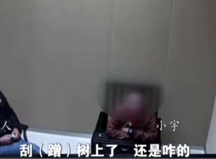 2016年，江苏一名小学生开车撞人逃逸被抓，母亲辩解：孩子还小