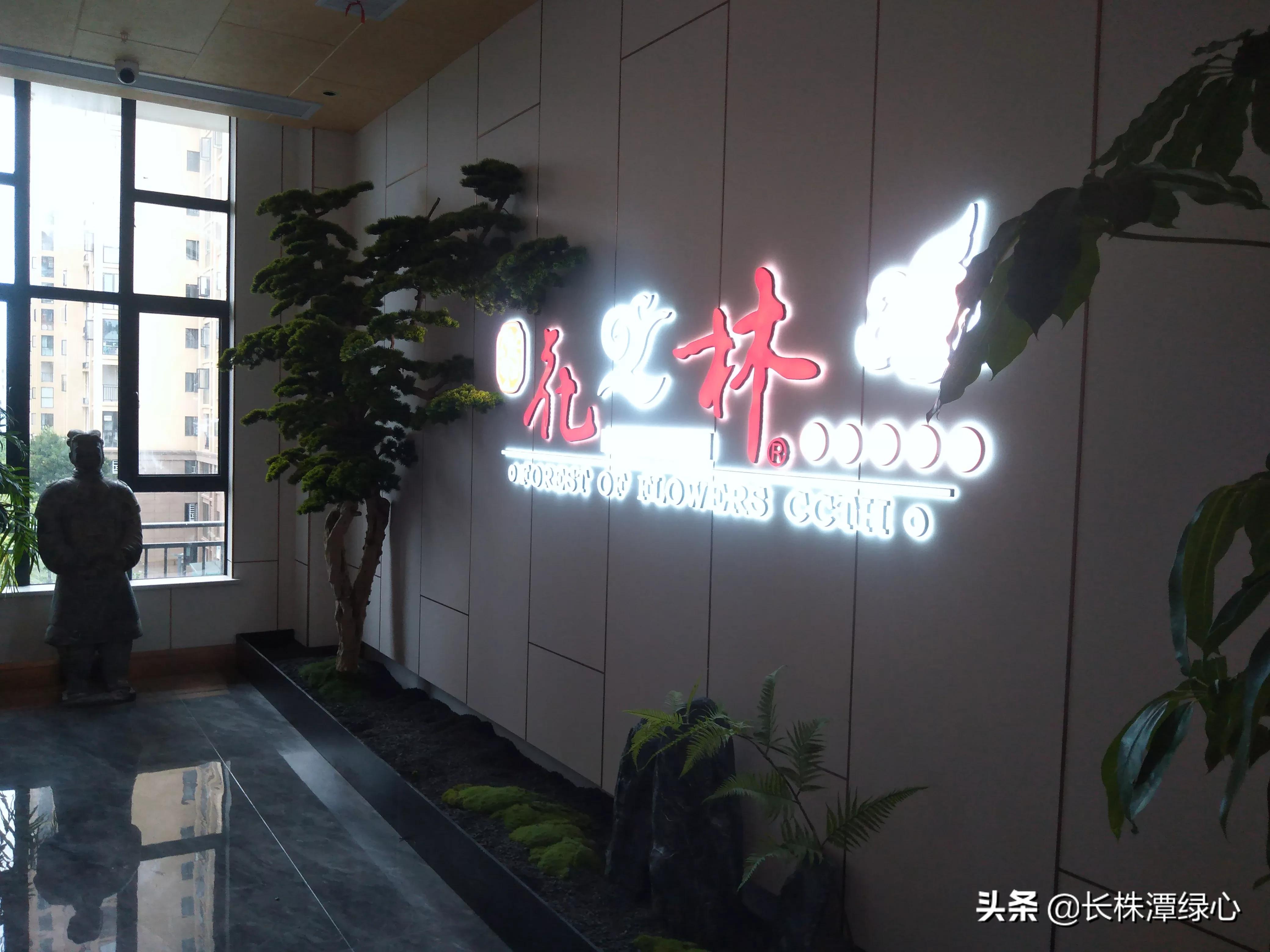 原来长沙暮云片区花之林总部大厦是这样的