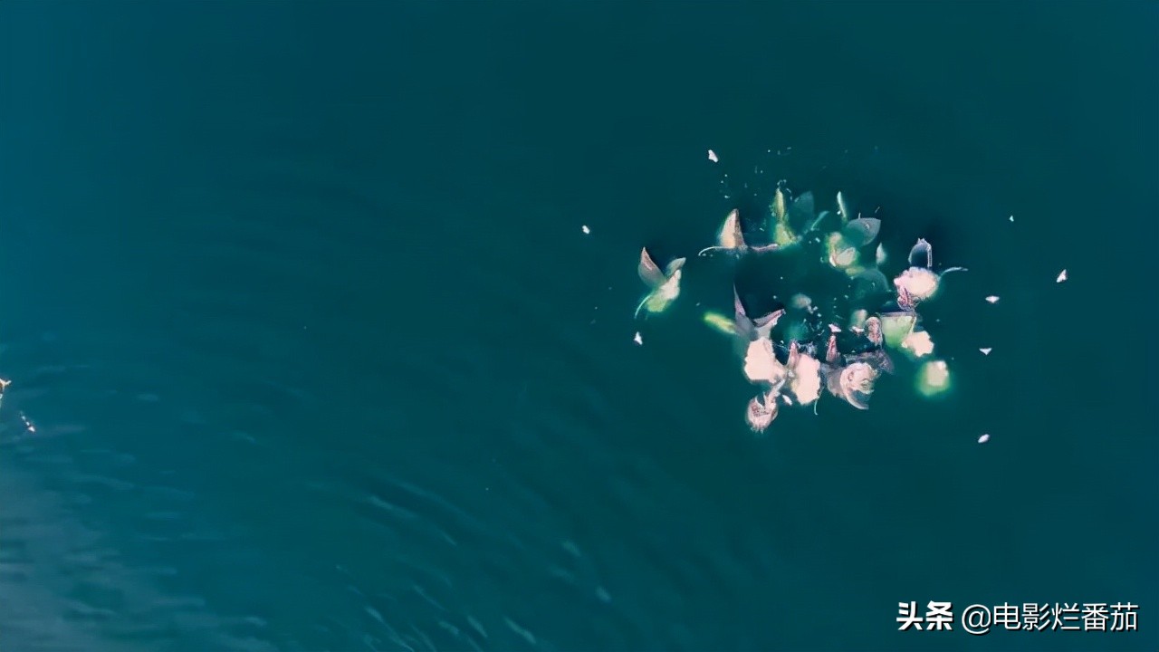 2021高分纪录片TOP5：小到月经初潮，大到世界觉醒，每部都值得看