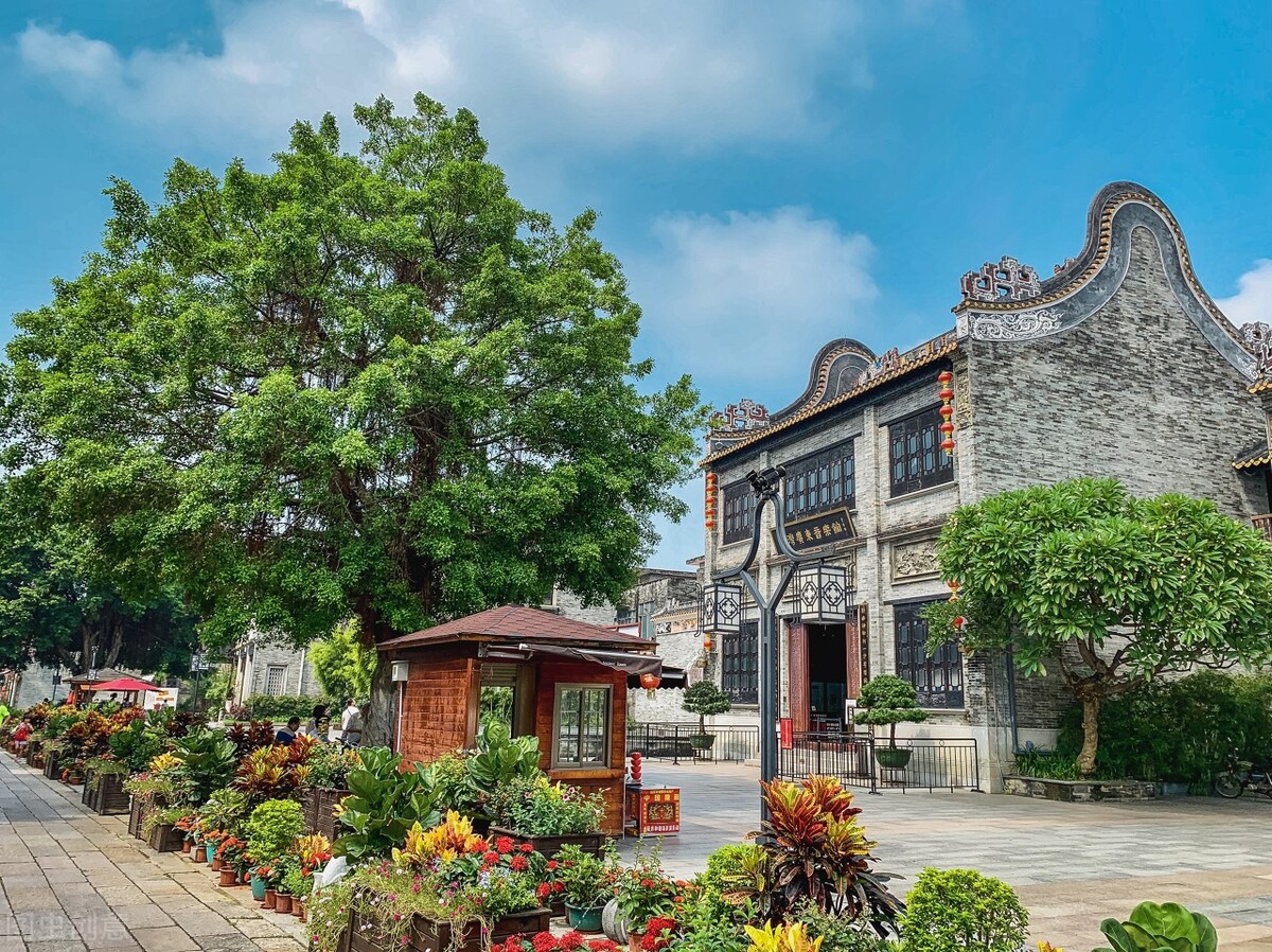 广州市附近旅游景点(广州周末好去处) - 悦闻天下