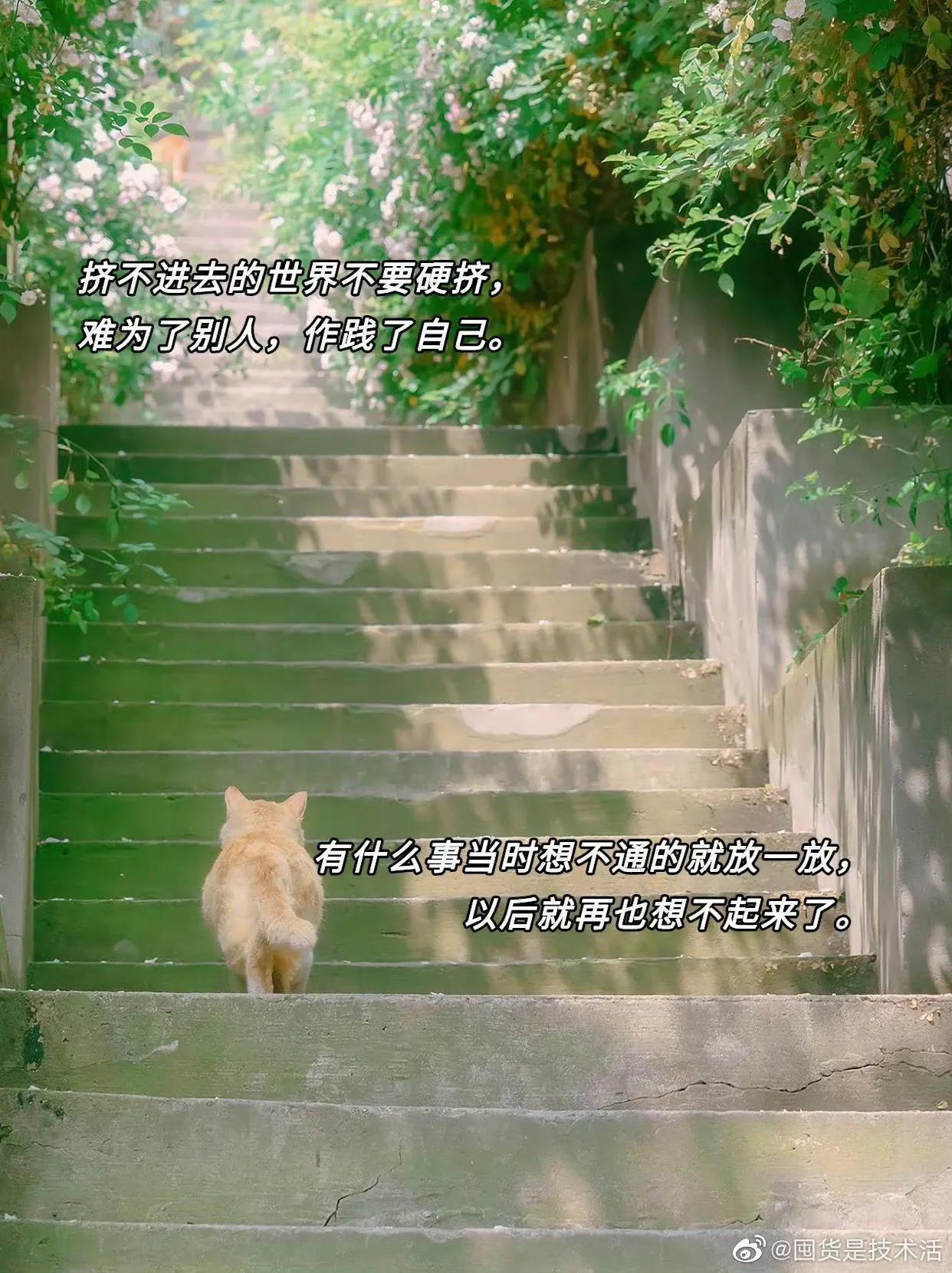 据说大张伟的嘴能救命，这谁能扛得住