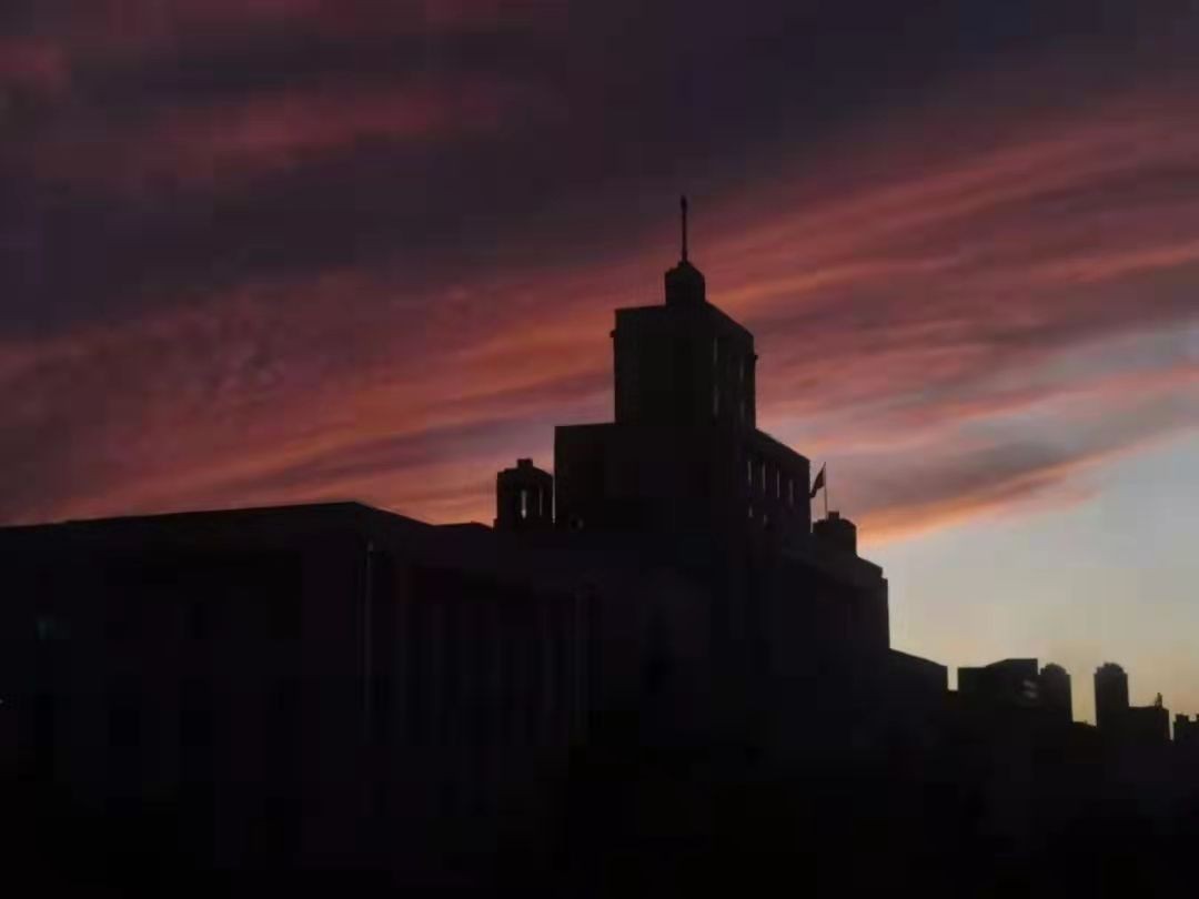 东北林业大学校鸡（东北林业大学怎么样）