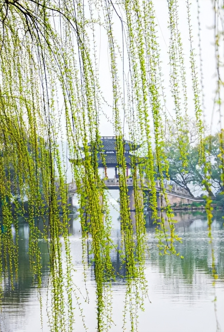 「诗词鉴赏」春日正好，春花烂漫，在古诗词里寻找最美的春日