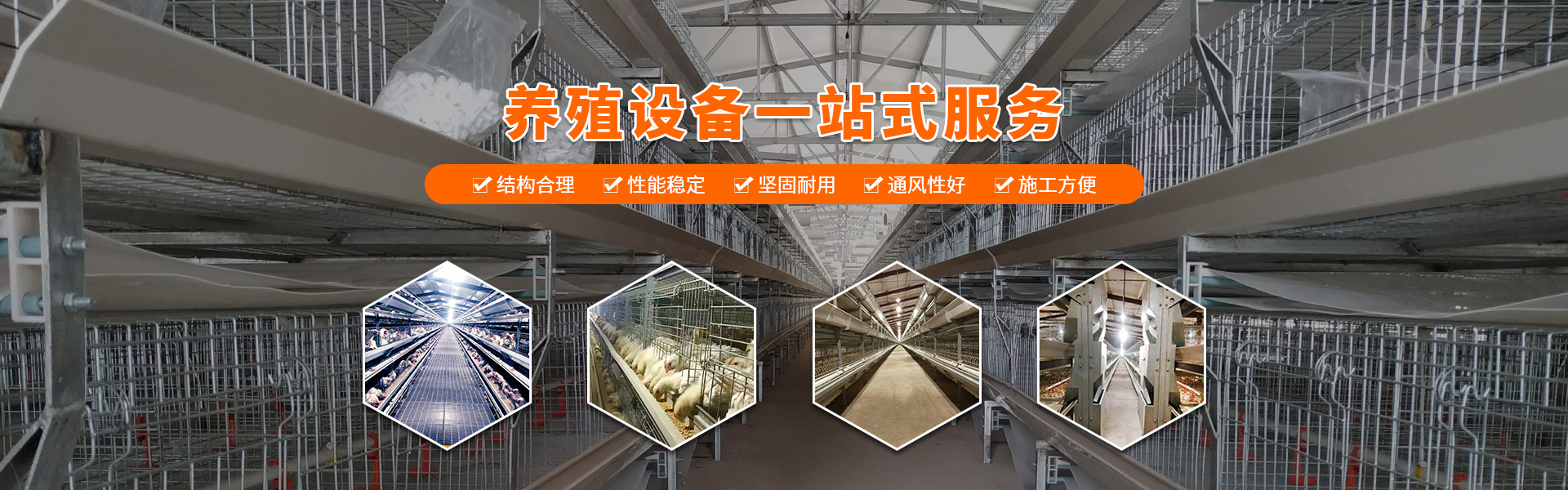 蛋雞養(yǎng)殖決不能省掉的，不然吃大虧！鄭州遠卓農(nóng)牧