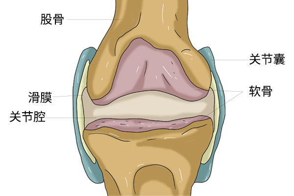 上下楼梯时，总感觉膝盖疼痛，是怎么回事？该怎么缓解？