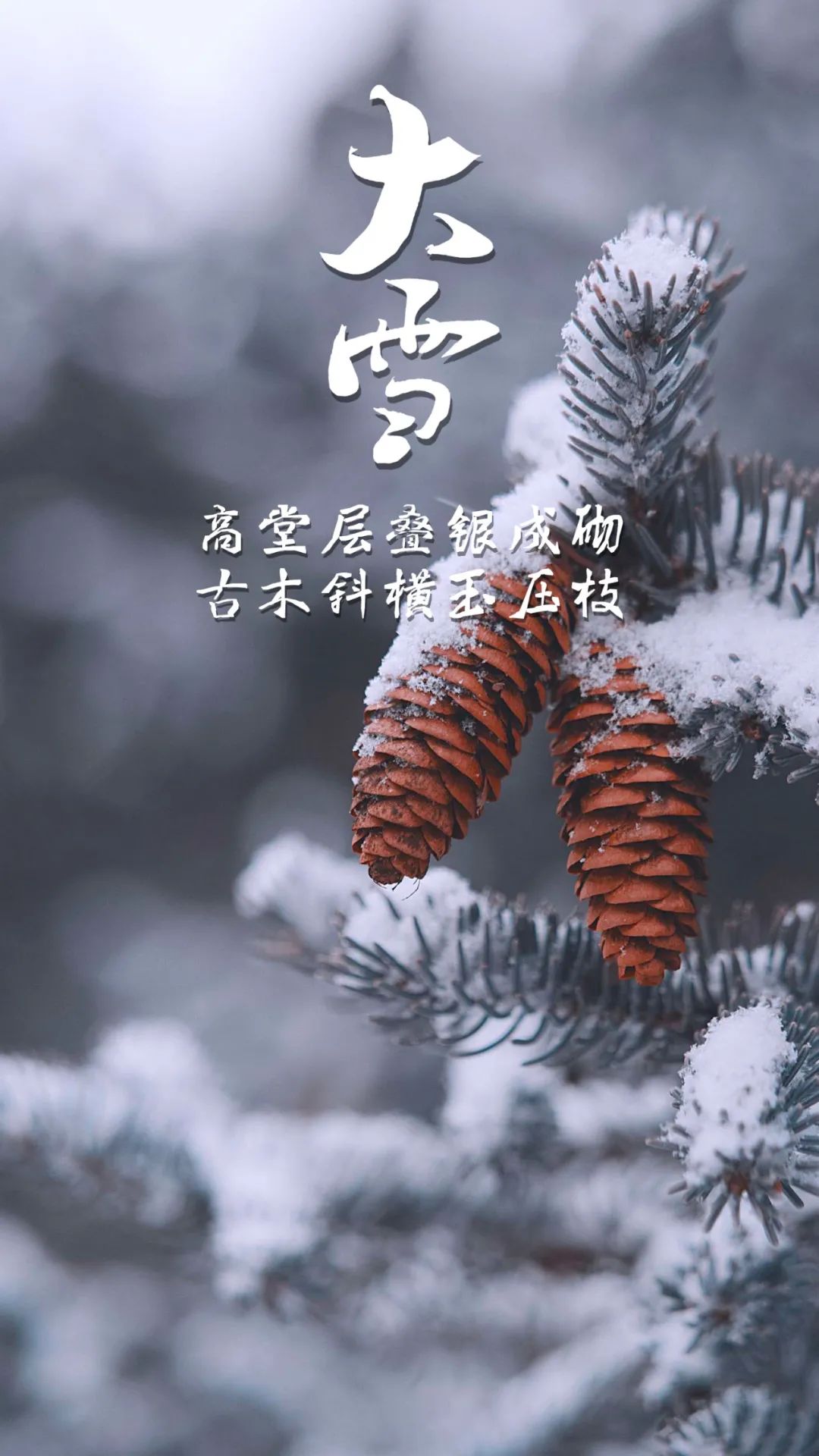 藏在古诗词中的大雪，遇见最美的诗意