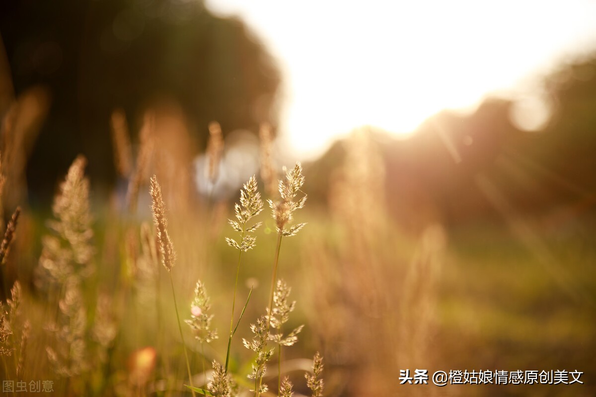 2022年，请你善待时光，也珍惜自己