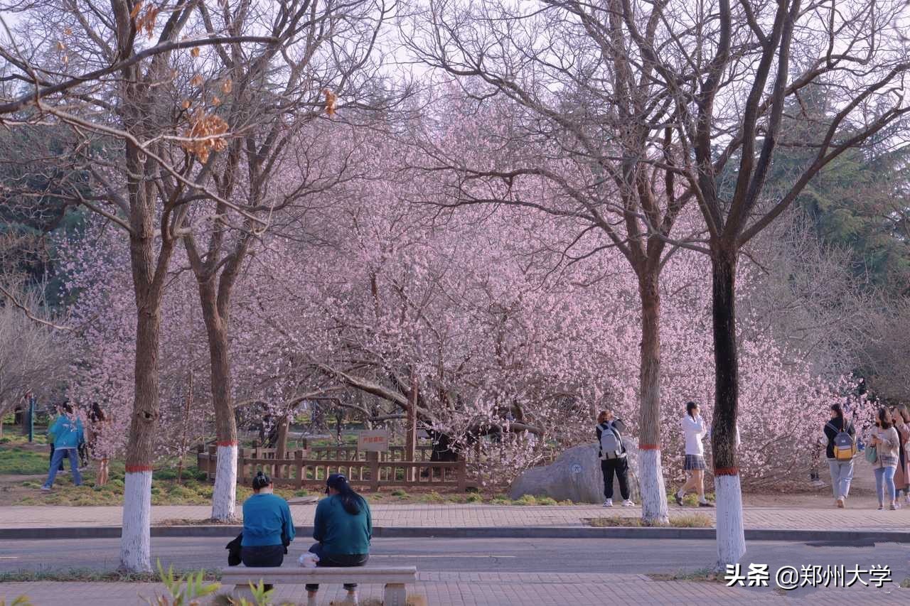 你看，我在郑大这样过