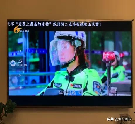 二点委夜蛾研究再创新 生态调控措施普及推广