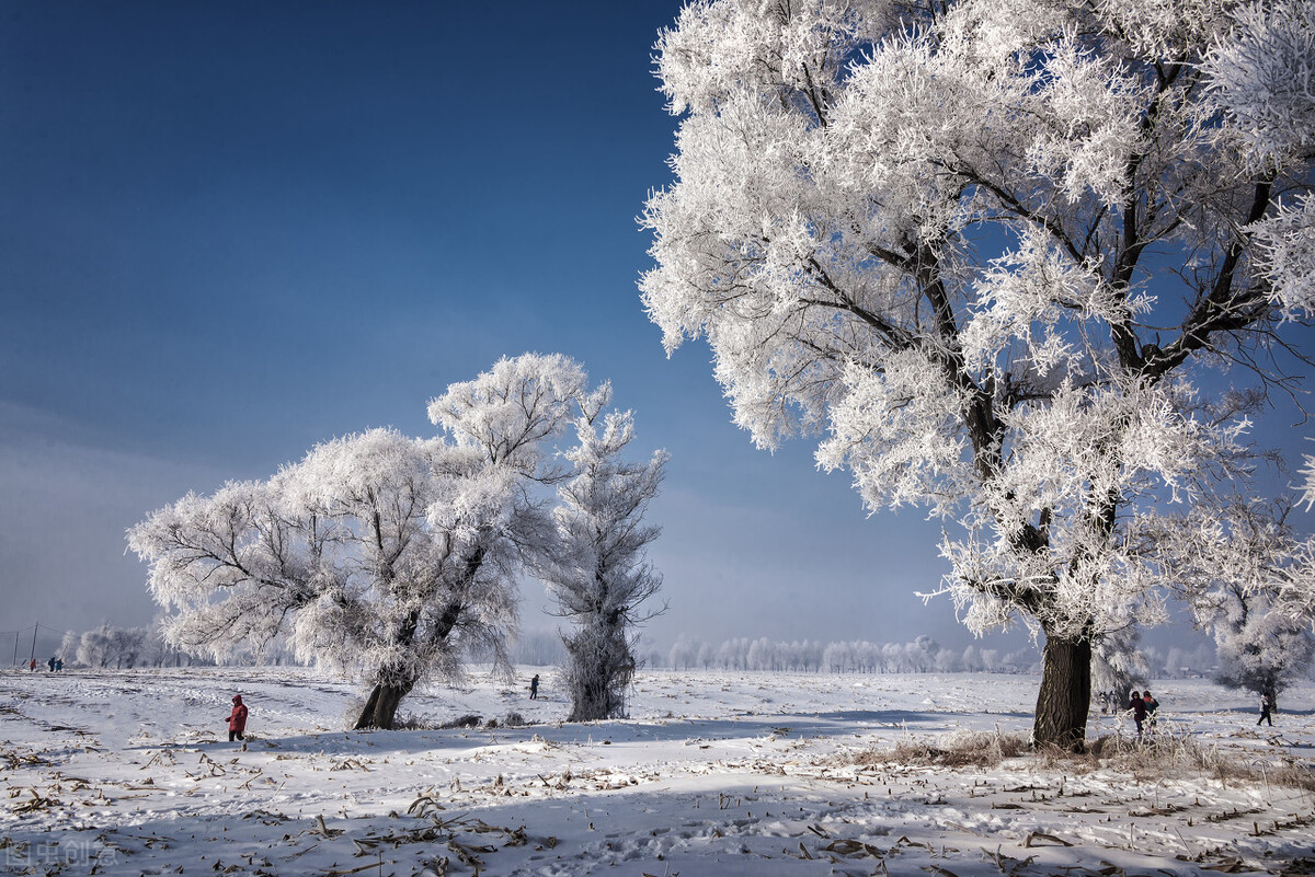 童话世界般的雪乡真的是太美了，一定要打卡国内最美8大雪乡插图35