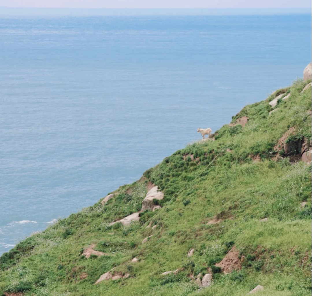 浙江风景名胜(看海还去什么巴厘岛？浙江这几个海岛美翻了，周末就出发)