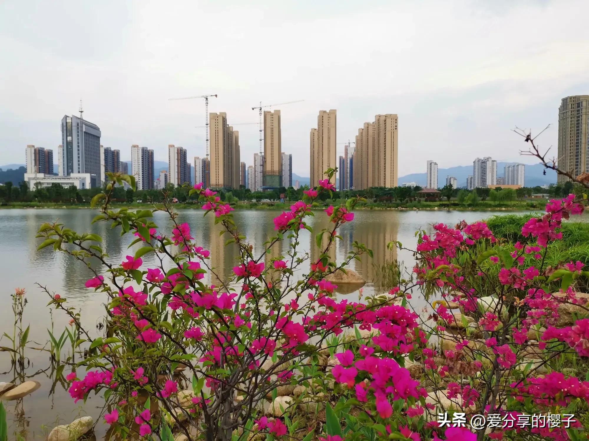 游客的打卡“胜地”—龙津湖公园