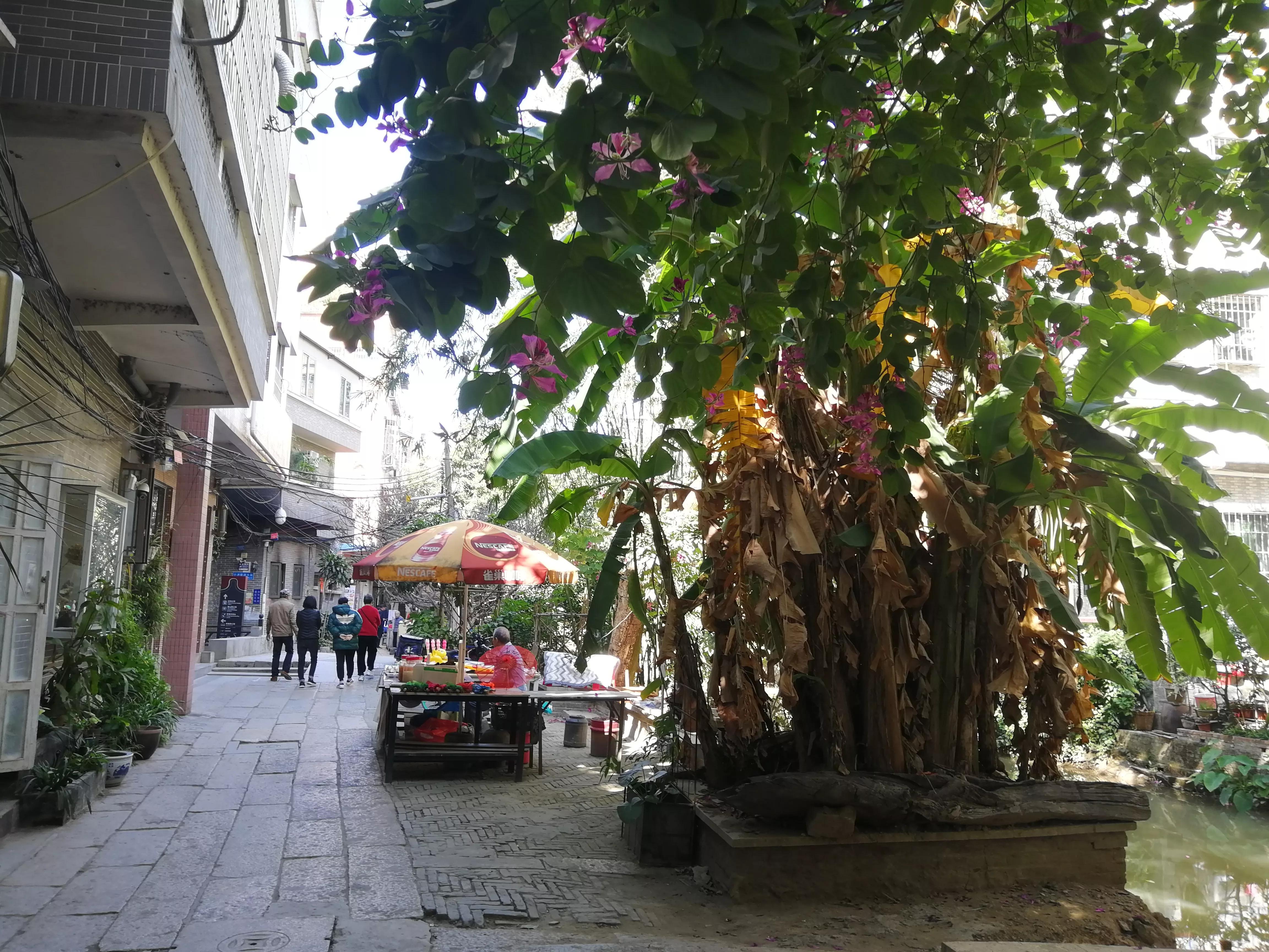 地铁4号线大学城游玩攻略，领略那不一样的广州大学城风光（C篇）