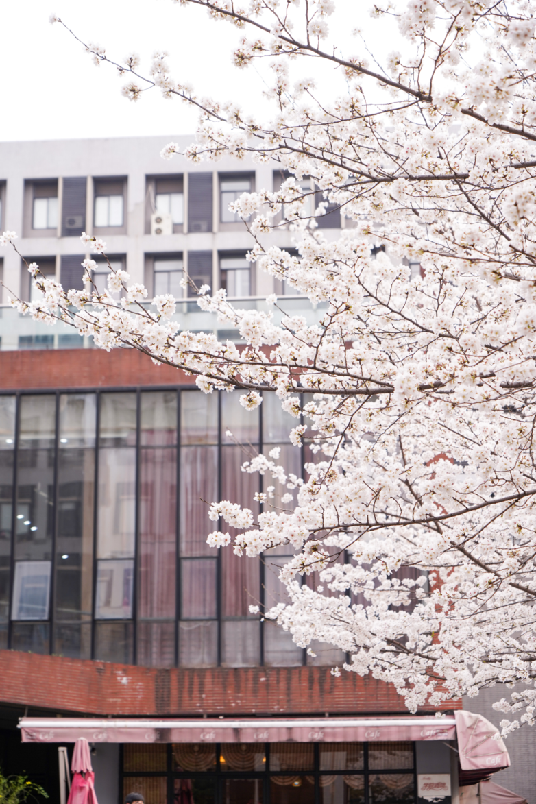 你，爱上浙大的理由是________