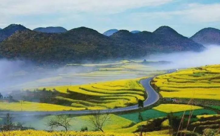 2009年，女学霸为爱拒供黑人男友，被判枪决后哭着向父母表示忏悔