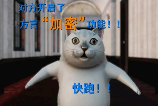 大学寝室里的“神操作”，一个赛一个的有才，辅导员查寝时笑出声