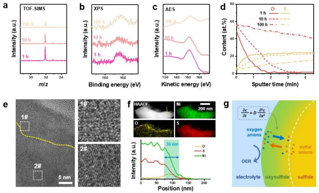 张强/李博权等团队最新Energy Environ. Sci.