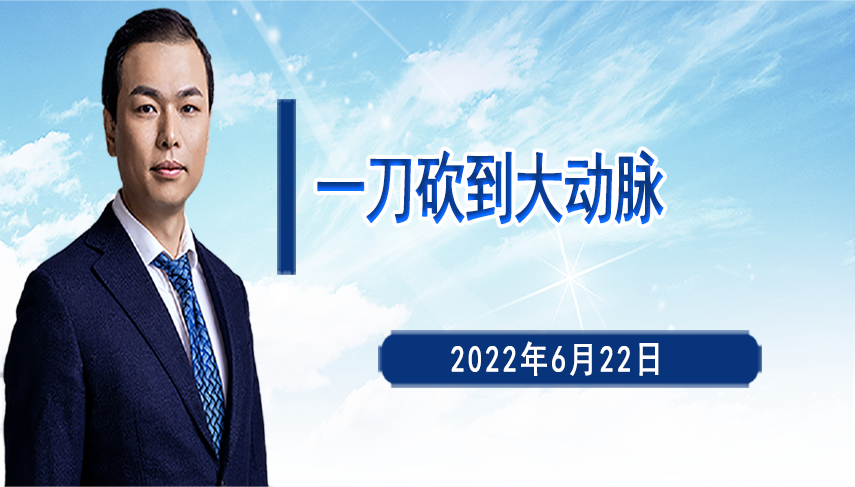 一刀砍到大动脉