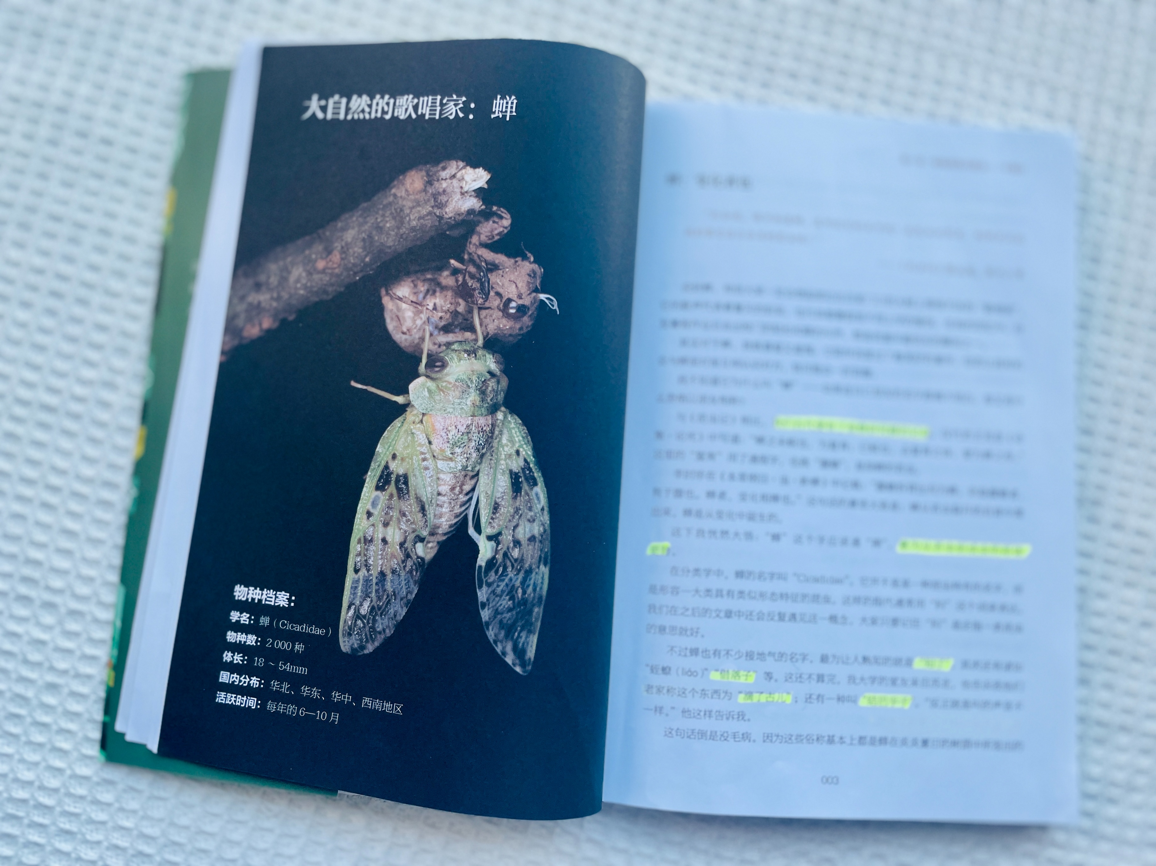《昆虫记》是孩子必读书，但若应付考试，就错过了提升能力的机会