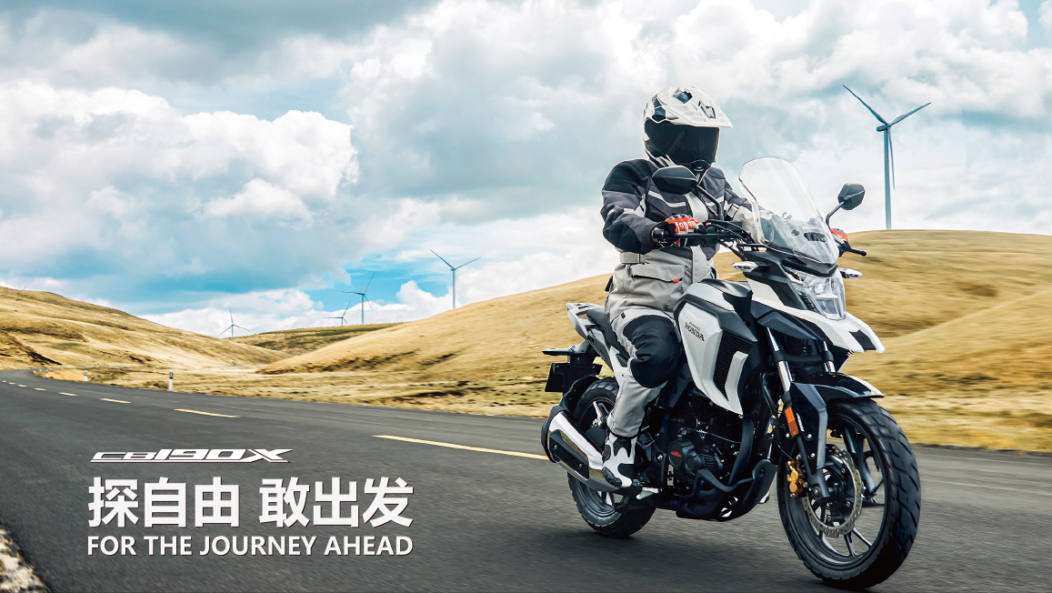 猛鸷190，GW250，TR300各有优缺点，所以就有点纠结，如何选呢？