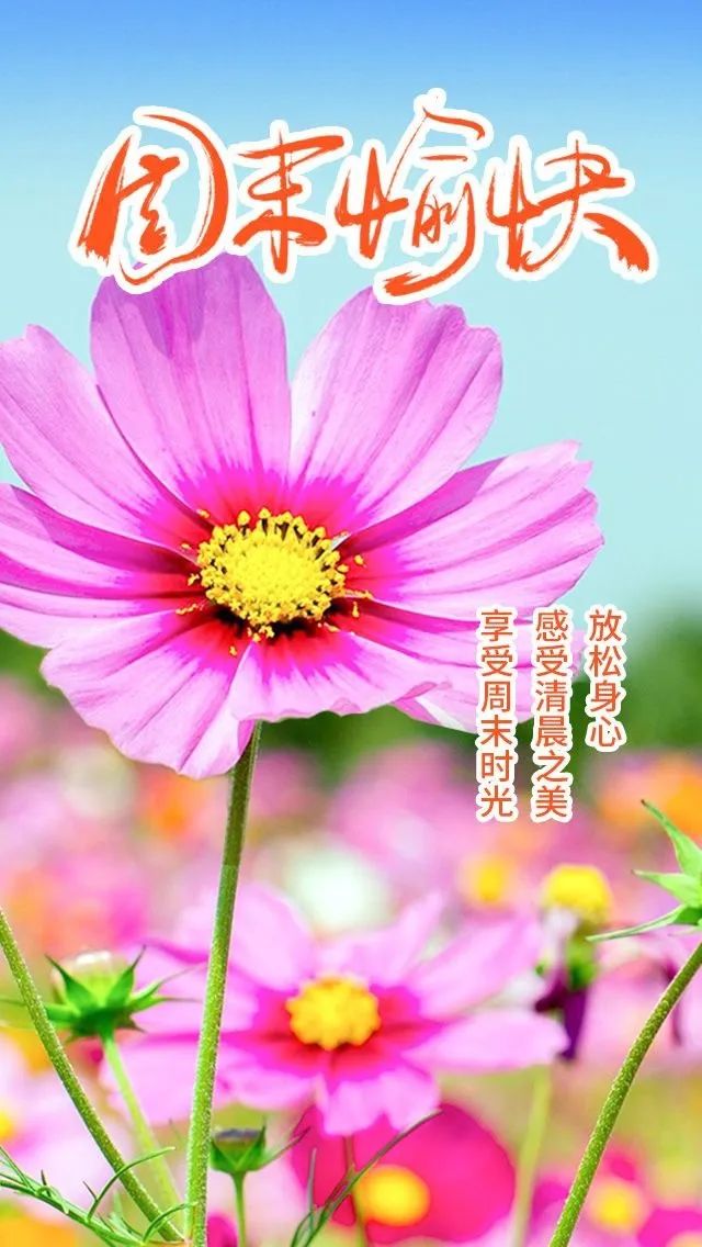 「2022.04.23」早安心语，世界读书日努力奋斗句子 早上好问候图片