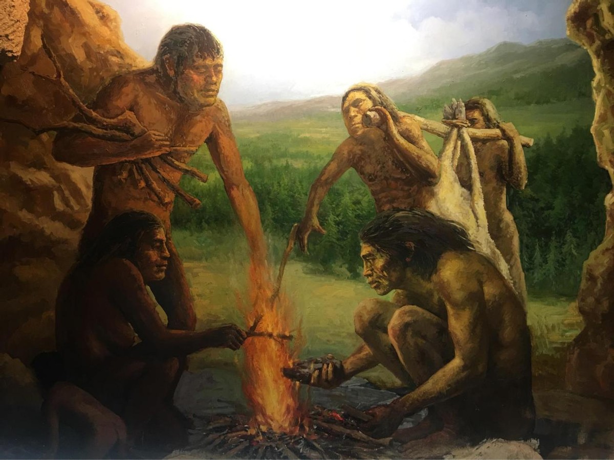 现代人类为何失去了丁丁骨？灵长类都有的骨头，消失是好是坏？