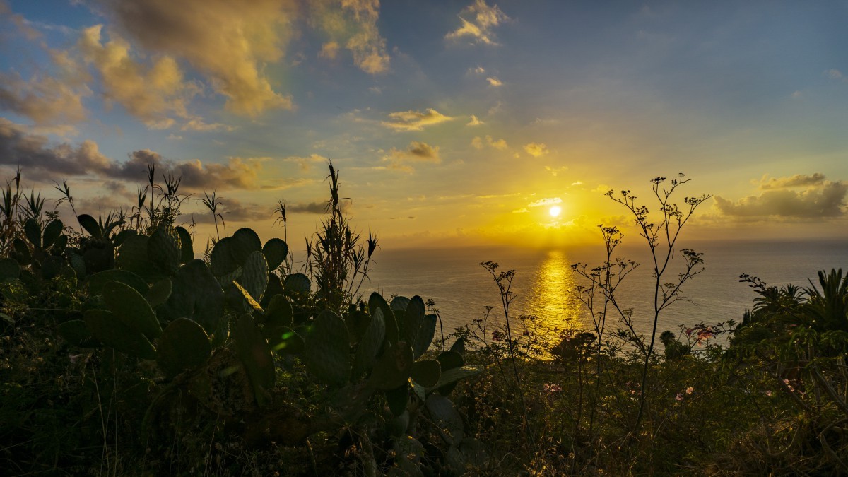 什么是员工培训？