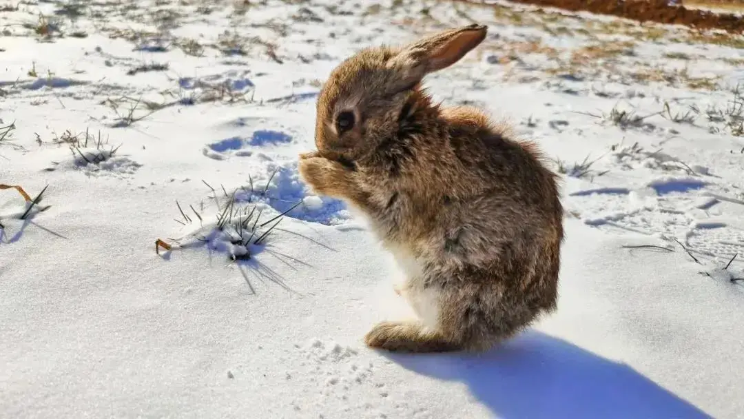 精品线路（208）：保定亲子游3大打卡地，冬天也不愁遛娃了