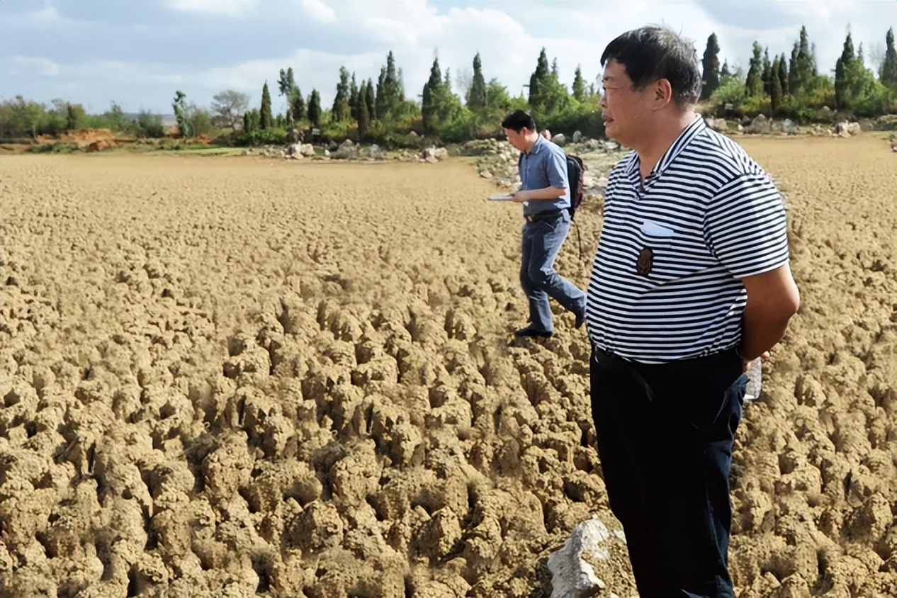 奥巴马为他站台，从农民的儿子到玻璃大王，曹德旺做对了什么？