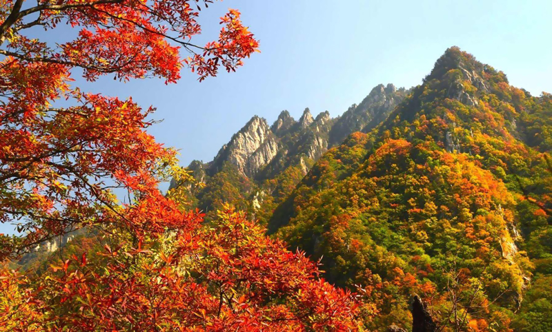 河南旅游去哪玩？盘点河南14大5A级景区