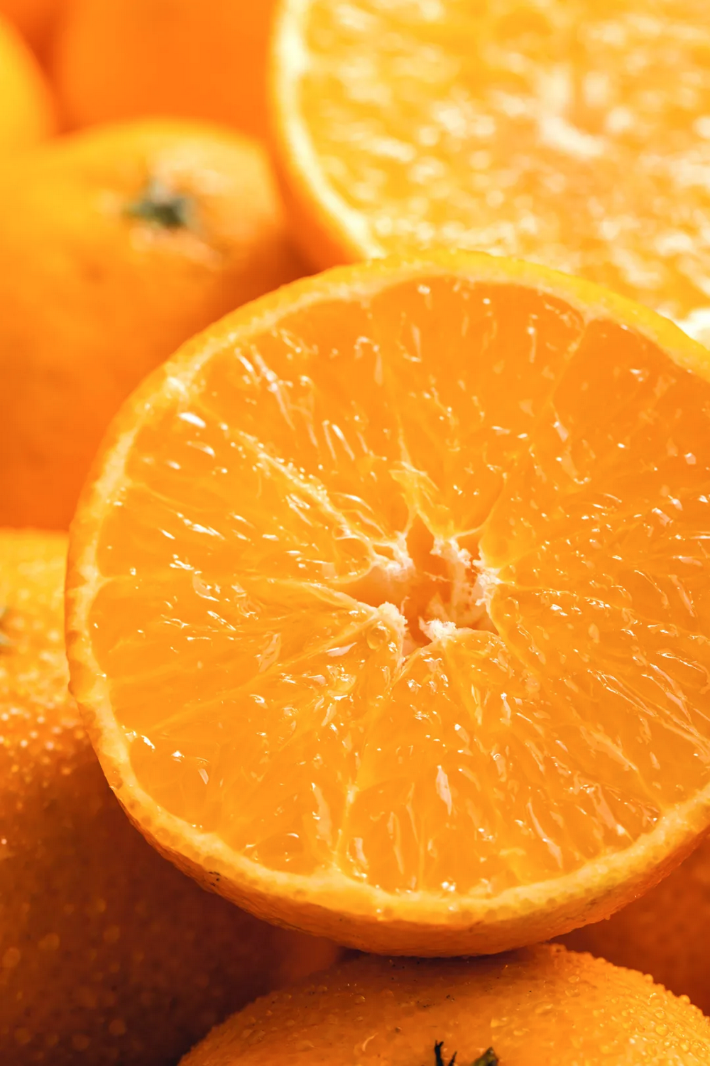 中国最会“泡”的城市在哪里？