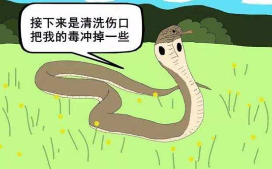 我国陆地最毒的蛇，曾让专家“打飞的”送解药，它有多毒？