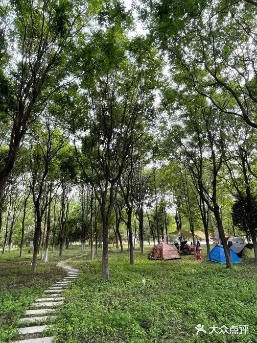 又是一年野餐季！北京这10家适合露营野餐的公园，有时间一定要打卡
